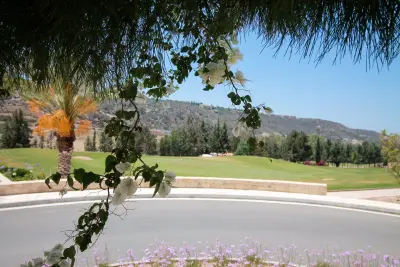 Hollywood Sign on The Hill